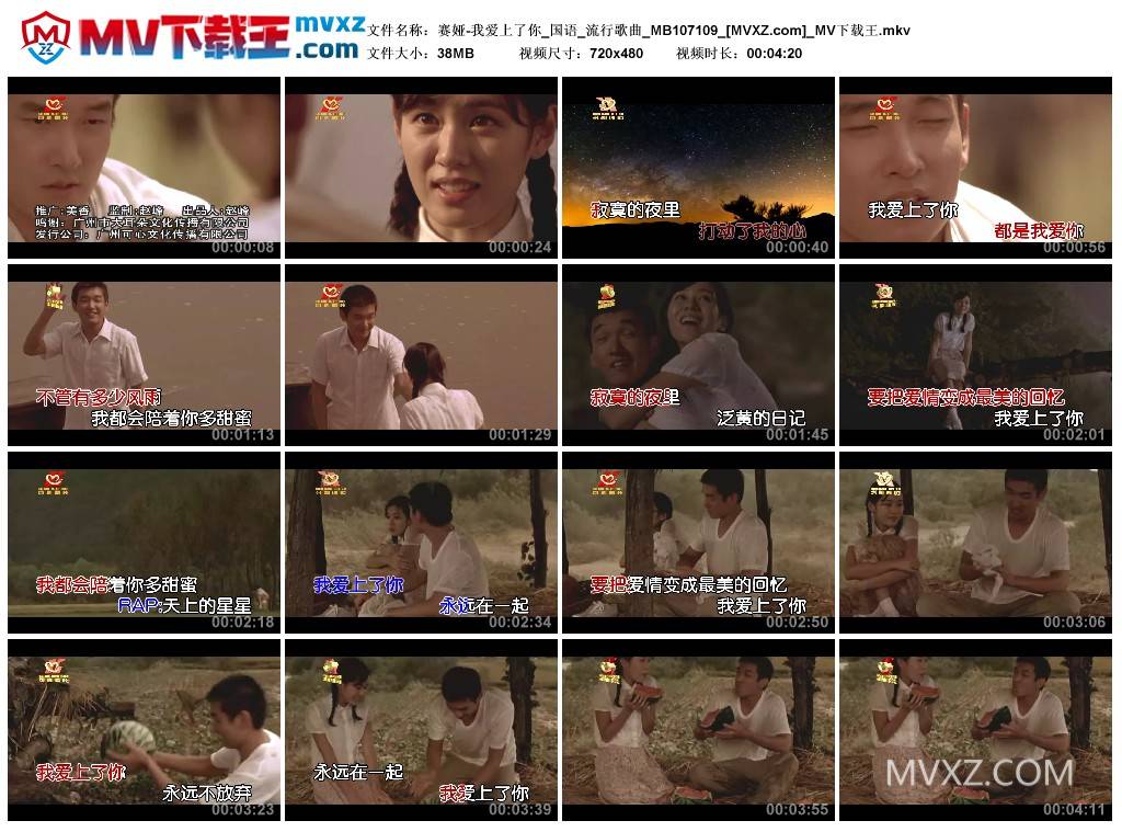 赛娅-我爱上了你_国语_流行歌曲_MB107109